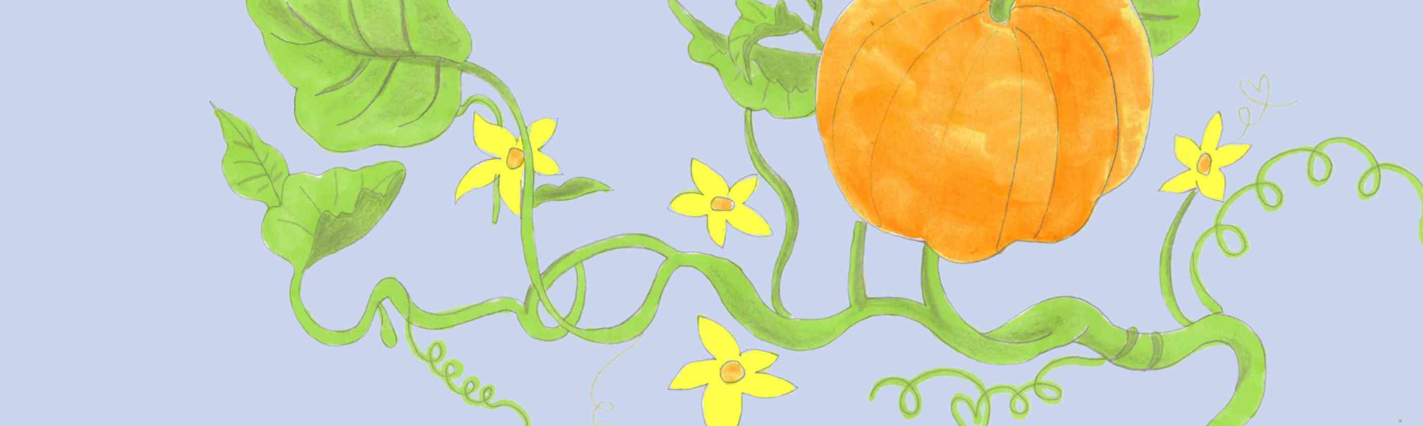 Pumpkin Story Web Banner