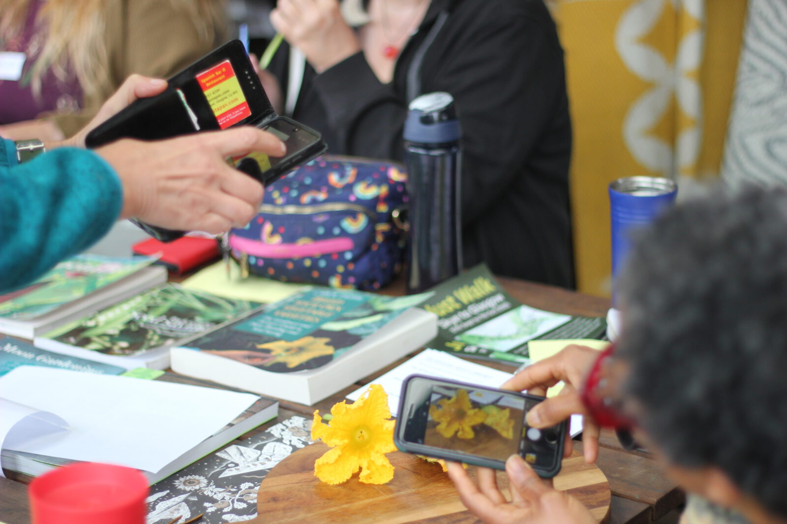 Seed to Seed Pollination Wash House Garden July2025 IMG 1621