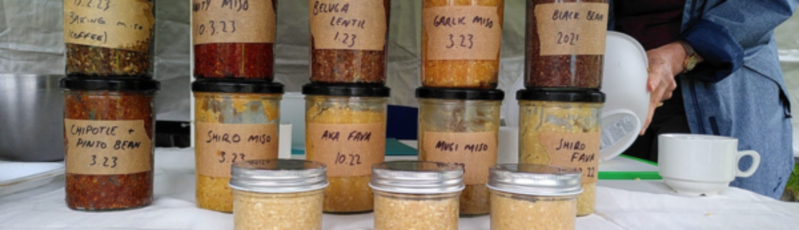 Fermentation blog post banner