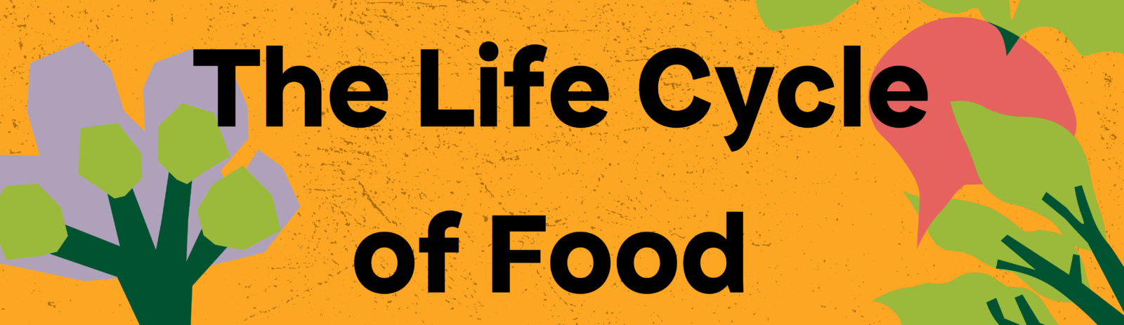 Life Cycle Of Food Web Banner