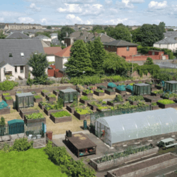 Shettleston Community Project Shettleston Community Project