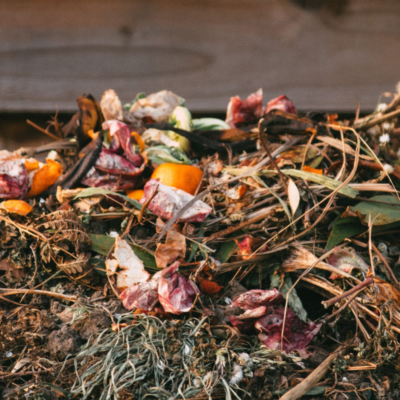 Composting For The Future Web