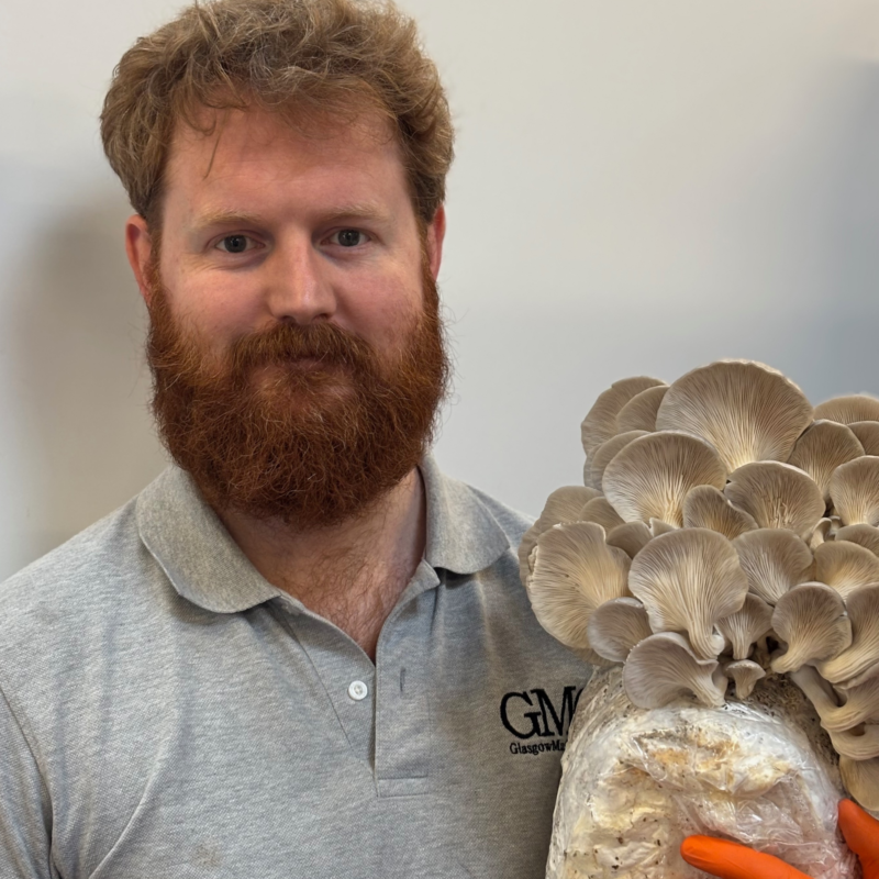 Glasgow mushroom company photos Glasgow mushroom company photos
